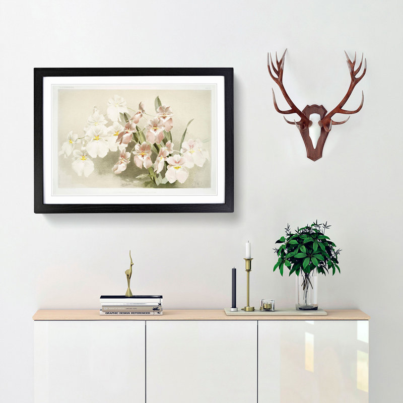 Magnolia Flowers Illustration Tab. 29 by Frederick Sander - Framed Print, 48cm H x 65cm W x 2cm D, Black Framed