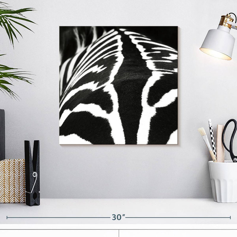 Brampt Zebra Stripes Pattern VI, 16" H x 16" W