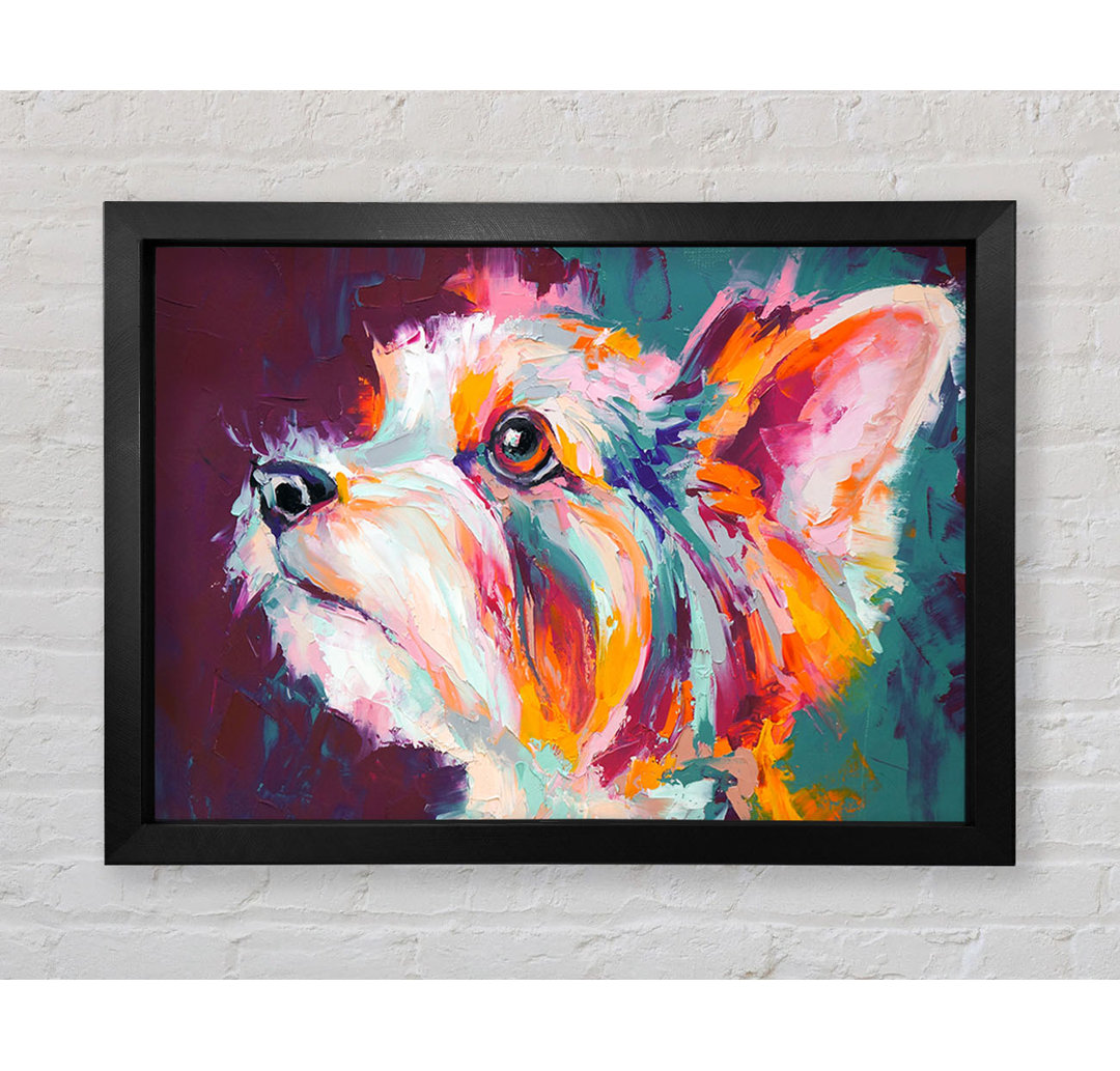 Gerahmtes Wandbild Vibrant Yorkshire Terrier