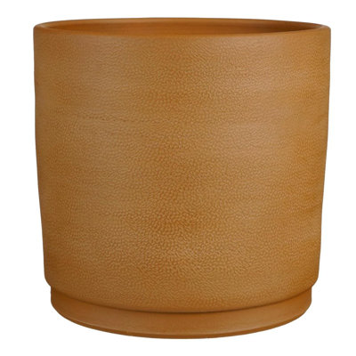 Allysyn Ceramic Pot Planter