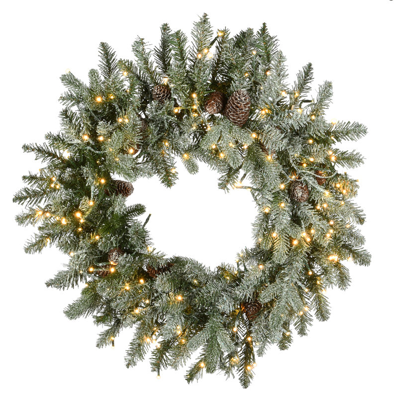 24'' Lighted Artificial Snowy Spruce Christmas Wreath