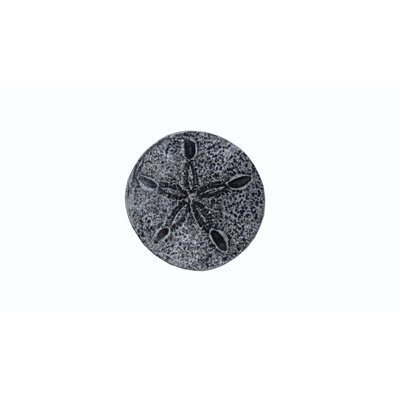 Oversized 2" Sand Dollar Novelty Knob