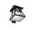 Rustic Lodge Steel Armed Sconce