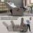 Infinite Position Single Motor Up To 350 Lbs Power Lift Recliner Chair For Elderly, Heavy Duty Motion Mechanism With 8-Point Vibration Massage And Lumbar Heating, Usb Charging Port, Cup Holders-1285365196