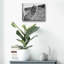 «Saguaro» par Nathan Larson, art mural en verre acrylique-363042246