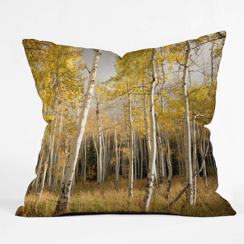 Coussin Aspen, 20 po x 20 po