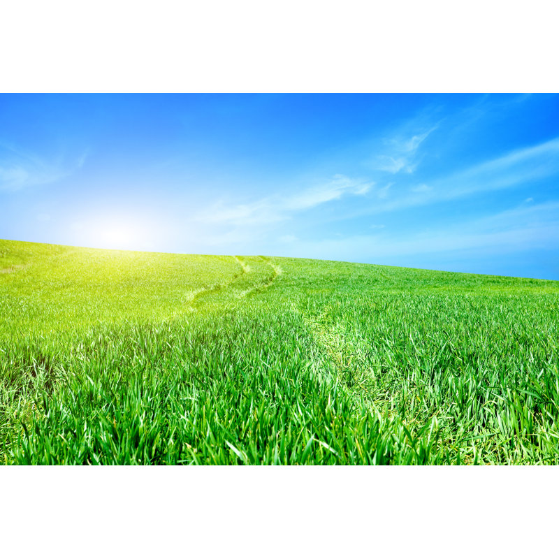 Tonica Green Field And The Blue Sky by KrivosheevV - Wrapped Canvas Print, 30cm H x 46cm W x 3.8cm D
