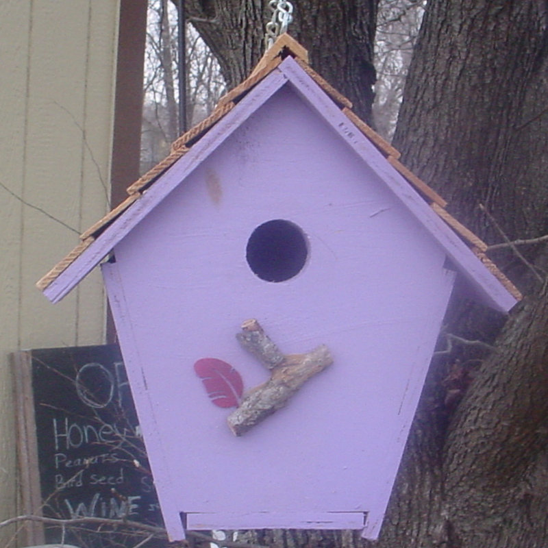 Meghrig 11'' H x 9'' W x 9'' D Hanging Rust Resistant Birdhouse
