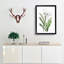 Caribbean Spider lily Flowers by Pierre-Joseph Redoute - Picture Frame Painting Print-55514017-55514020