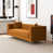 Velours / brun clair / cognac