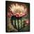 Black Floater Framed