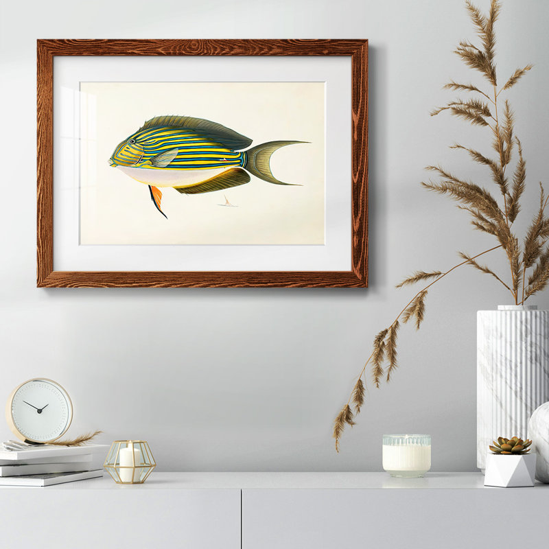 Collection de poissons tropicaux I, H 18 po x l 26 po, Érable