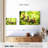Rabbits By The Meadow-107499705