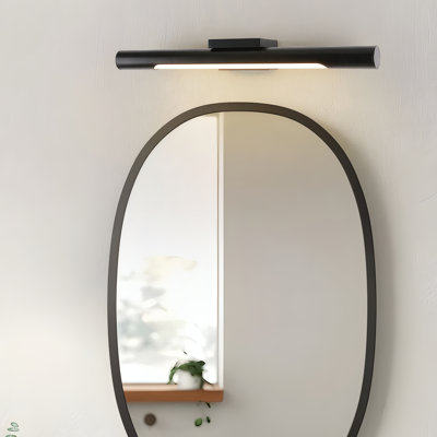 20" Black Picture Light