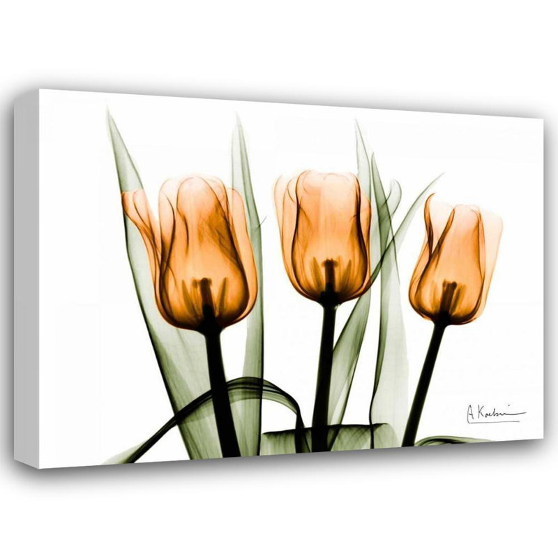 Art sur toile tendu Lark Manor ™, Koetsier, Albert, orange, H 15 po x l 18 po