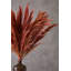117cm Faux Pampas Grass Grass-734366493