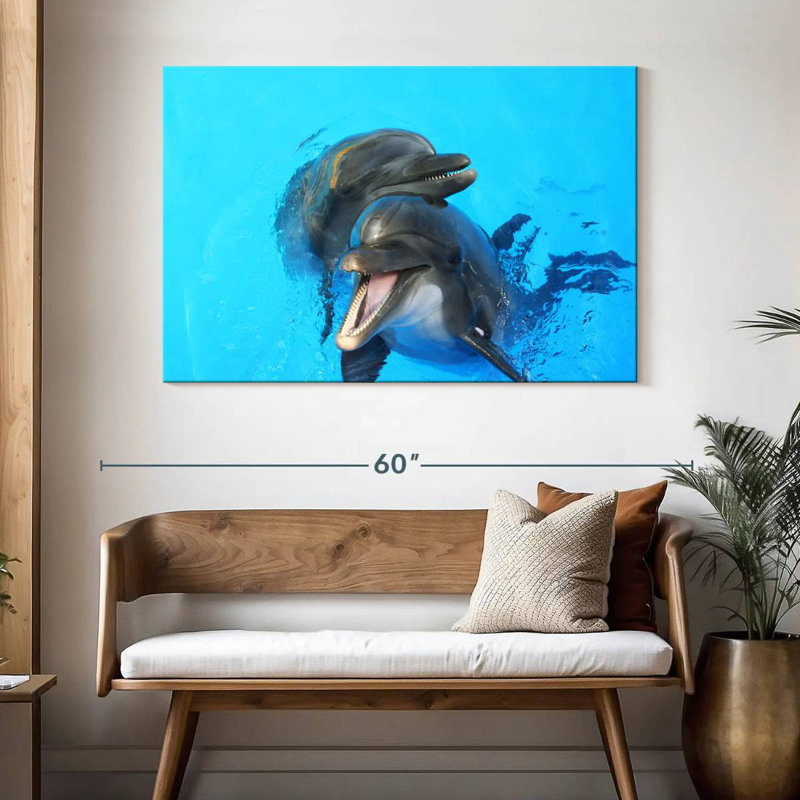 Happy Dolphins, H 32 po x l 48 po