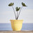 Traditional Self-Watering Plastic Indoor/Outdoor Pot Planter-1921265536-1987602709
