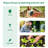 Breckan 6 Ft W x 6 Ft D Hobby Greenhouse