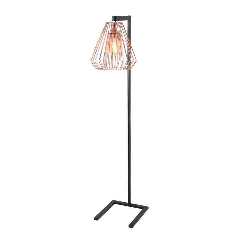 Metal Wire 55" Novelty Floor Lamp, Rose/Black