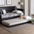 Baxton Studio Lucera Trundle - Underbed Low-Profile Rolling Base For Daybeds And Guest Rooms, Twin, Black-1874734989