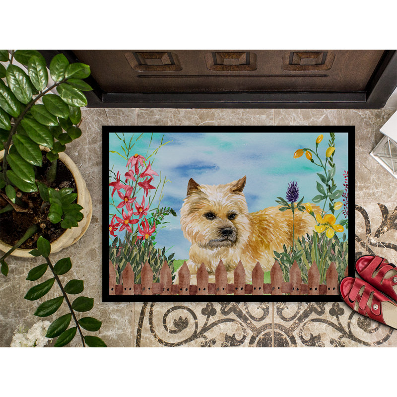 Tapis de porte extérieur antidérapant à ressorts terrier cairn, Rectangulaire : 18 po x 27 po