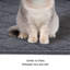 Tapis de litière pour chat