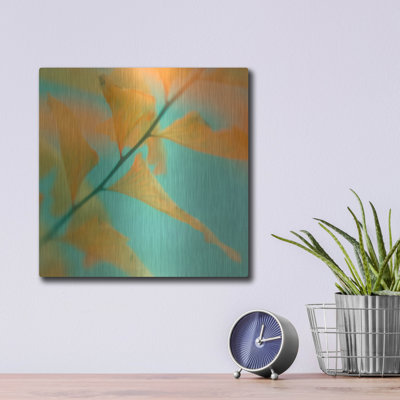 Fern Dance 2 par Judy Stalus