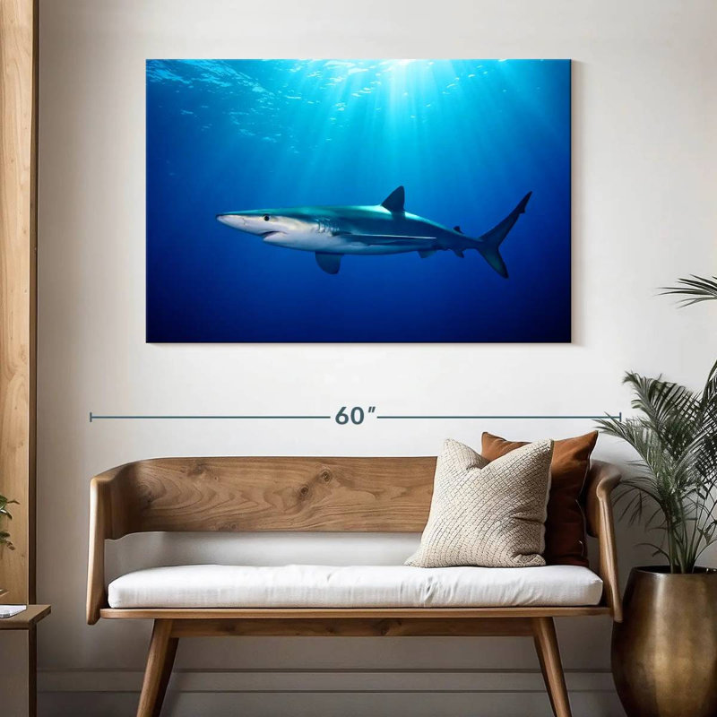 Brampt Blue Shark In Gordon's Bay, 32" H x 48" W