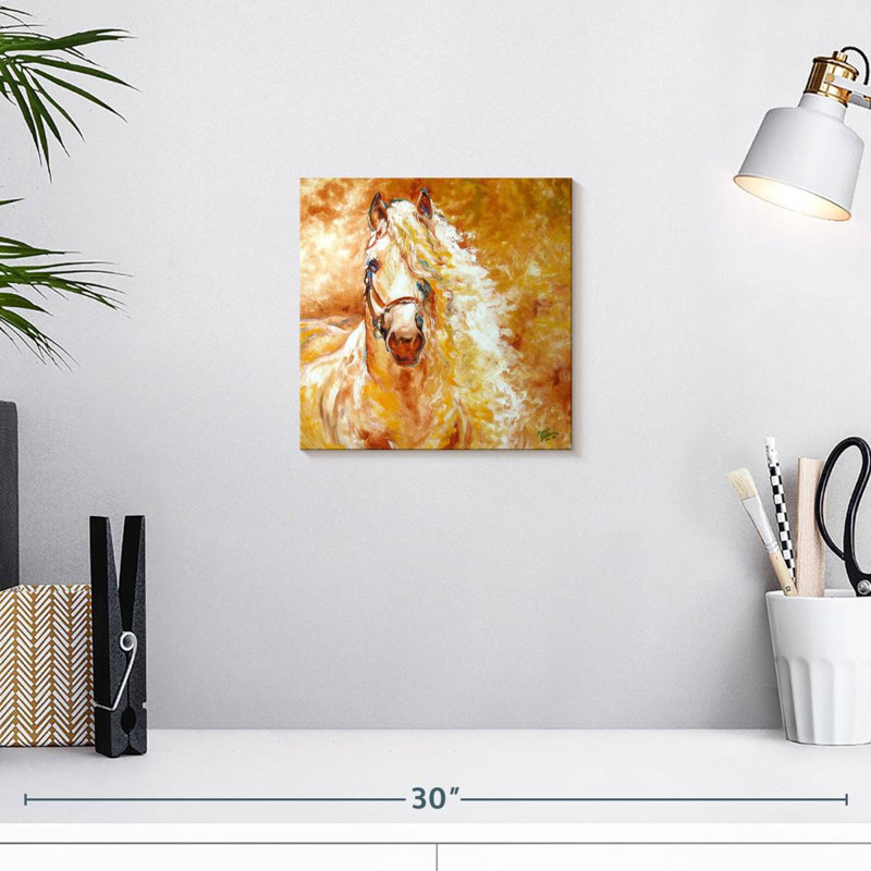 Brampt Golden Grace andalou équin, H 10 po x l 10 po