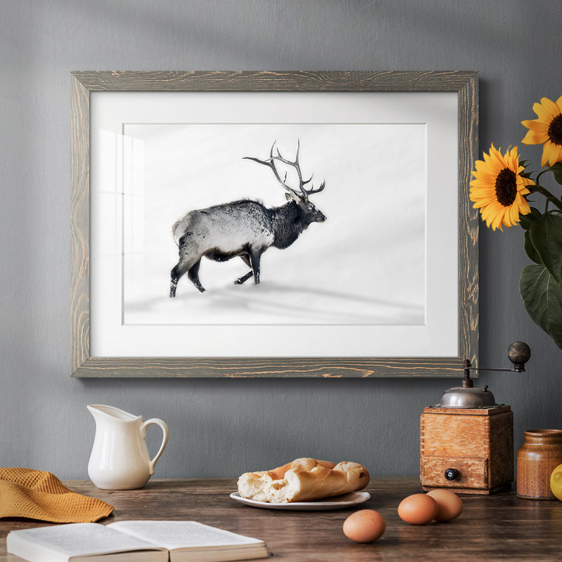 Lone Bull encadré sur papier, H 28 po x l 42 po x P 1,5 po, Gris