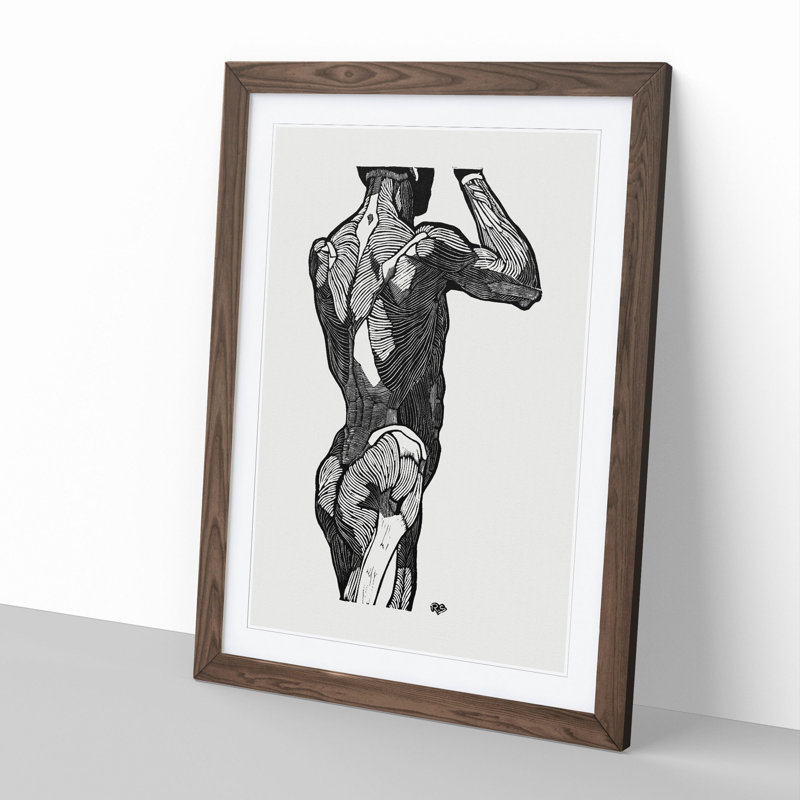 Anatomical Study of a Man Vol.1 by Reijer Stolk - Picture Frame Painting, 36cm H x 27cm W x 2cm D, Walnut