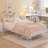 Blaiden Metal Bookcase Storage Bed