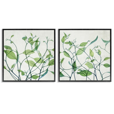 «Green Botanical Leaves Xray», ensemble de 2 estampes numériques par Victoria Barnes