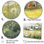 «Framhouse Dandelion Landscape», reproduction sur toile-388726587-388726586