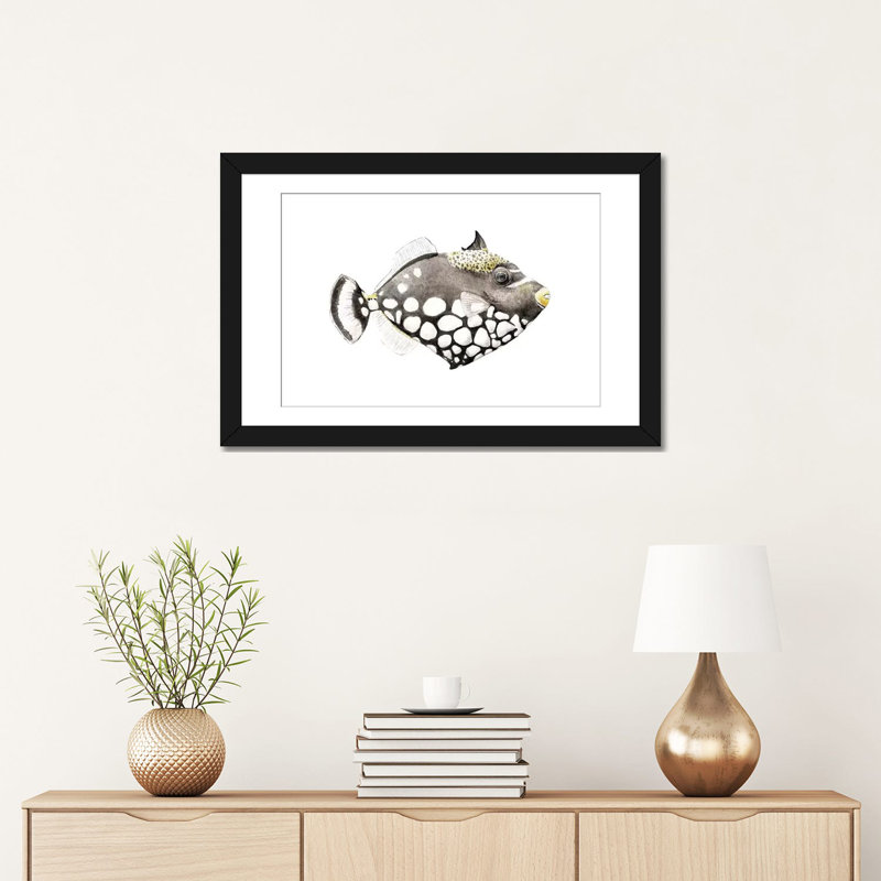 « tropical matin triggerfish », impression sur toile tendue, Papier d'art encadré noir, Blanc, H 24 po x l 32 po x P 1 po