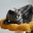 3 Tiers Cat Tree with Perch,Scratching Posts