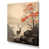 Toile tendue