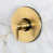 Brushed Brass is out of stock