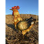 Weather Resistant Metal Garden Statue