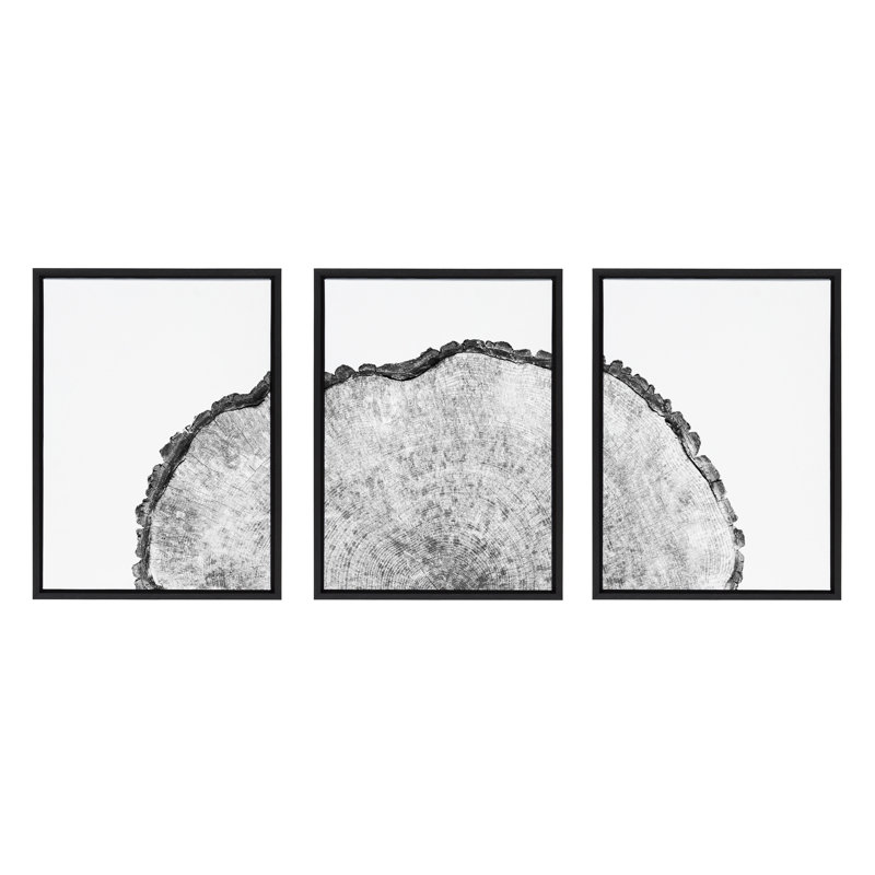 «Tree Rings Set» par Emiko et Mark Franzen, ensemble de 2 toiles encadrées, Noir