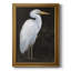 White Heron Portrait I, toile encadrée de qualité supérieure - prête à être accrochée-377293297