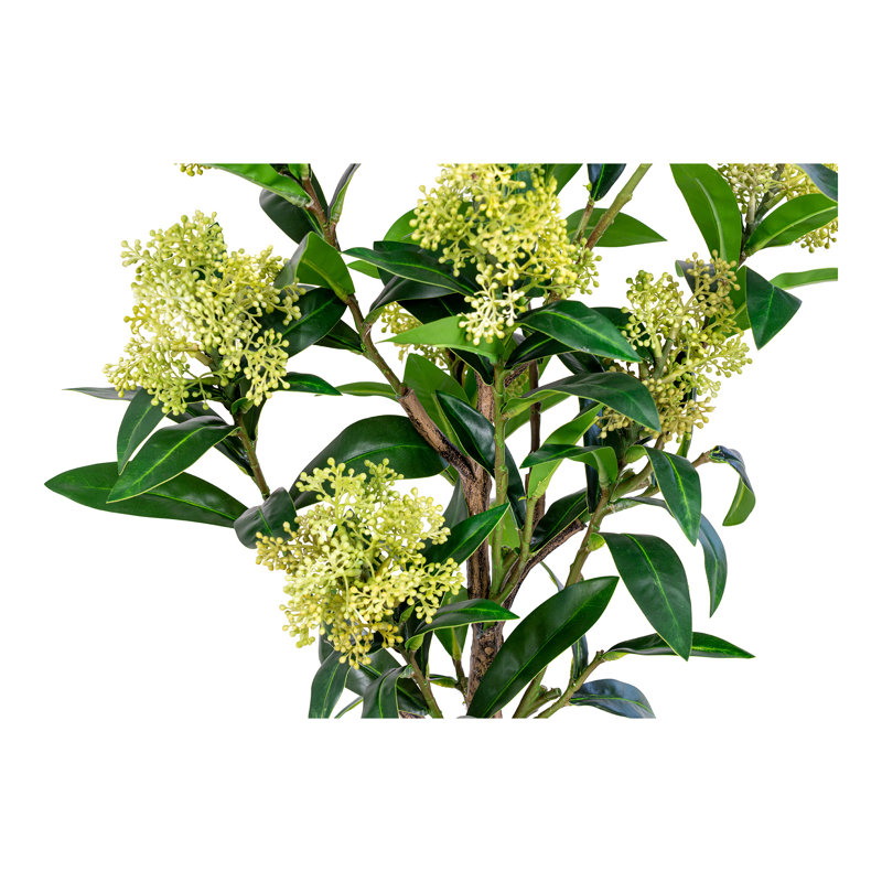 75cm Faux Skimmia Tree