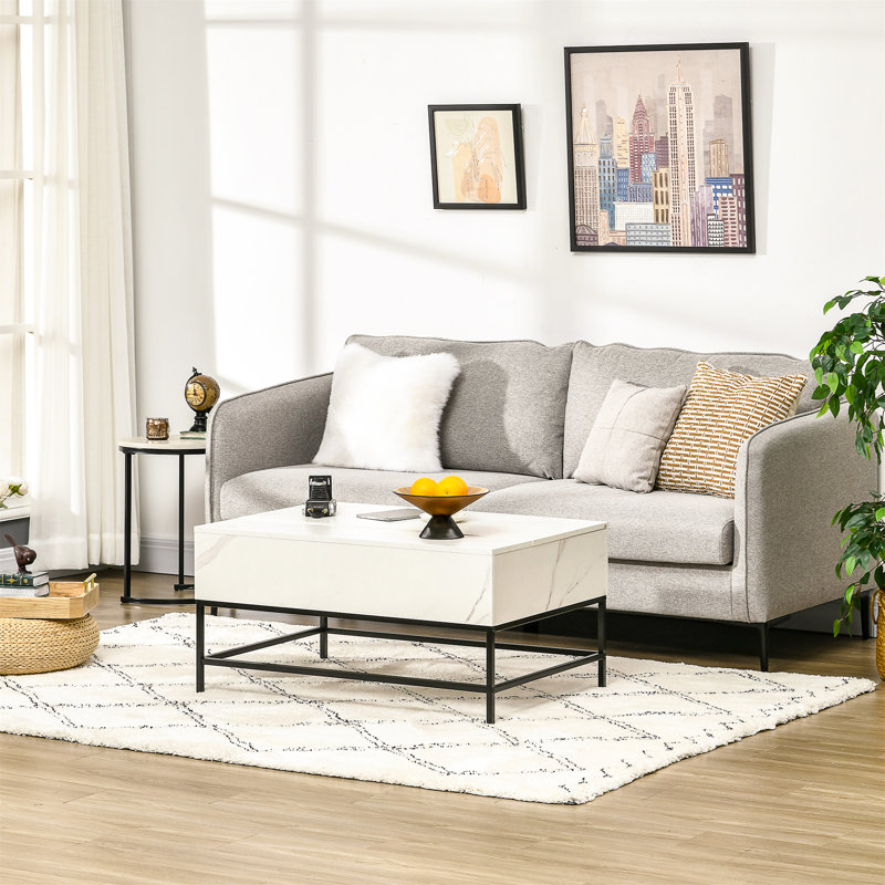 Anice Lift Top Coffee Table with Storage