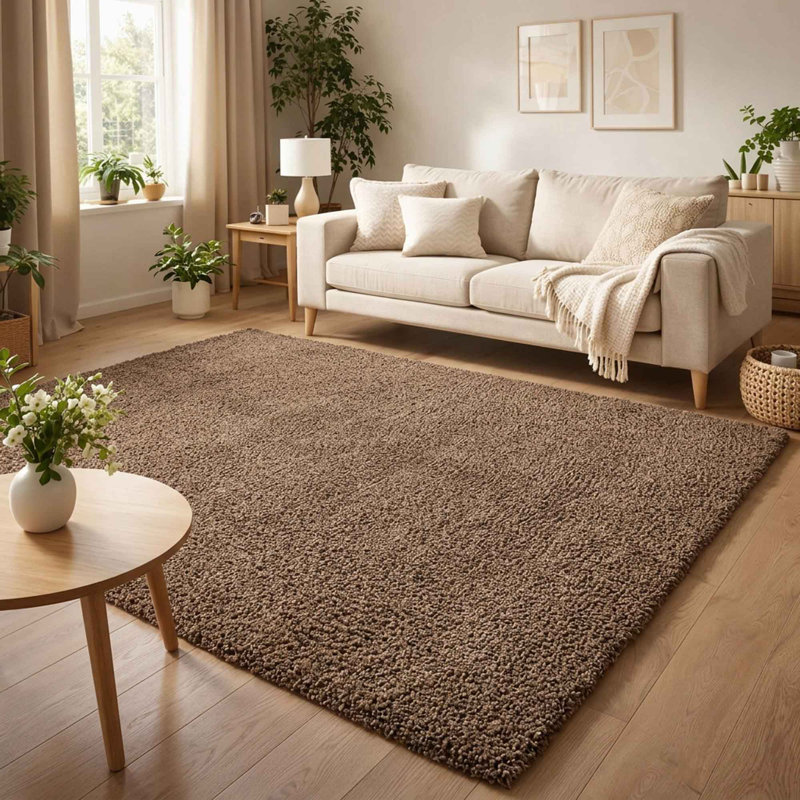 Ainsley Plain Living Room Shaggy Area Rug Modern Soft Pile Polyester Rug, Rectangle 60 x 110 cm, Brown