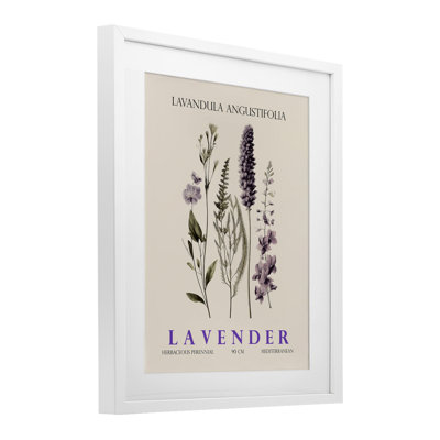 Natural Lavender Bundle Framed Print Under Glass, design by Christopher Giampietro