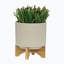 Pot à fleurs en céramique Yeilin