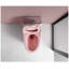 Toilette allongée une pièce à double chasse avec siège à fermeture en douceur Rose Rose-134649551