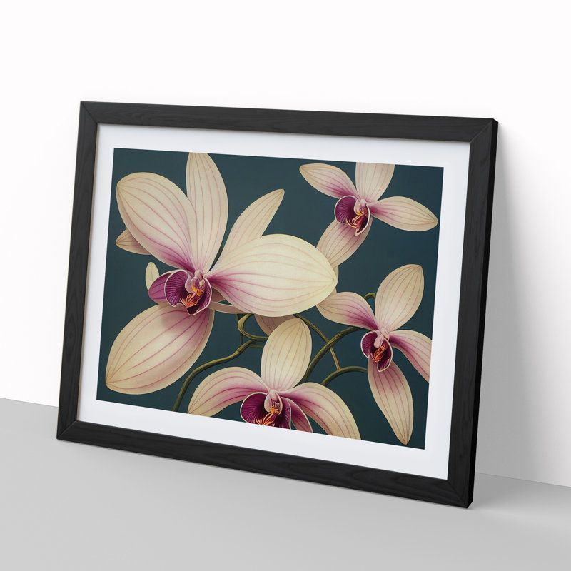 Wonderful Orchid Flowers - Single Picture Frame Painting, Black, 46cm H x 64cm W x 2cm D