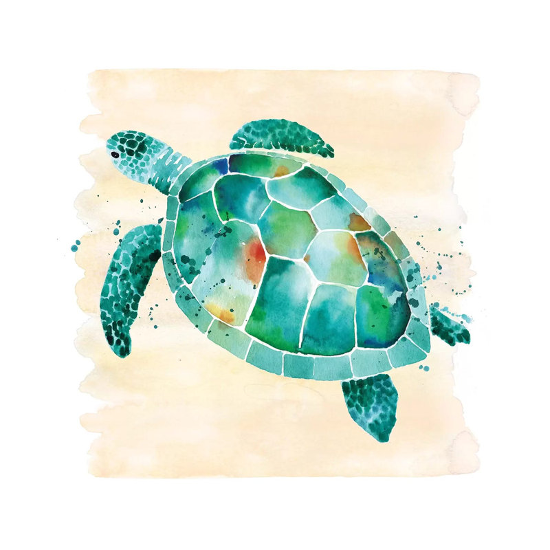 Sea Turtle by Sara Berrenson - Print on Canvas, Wrapped Canvas, 66.04 cm H x 66.04 cm W x 1.91 cm D